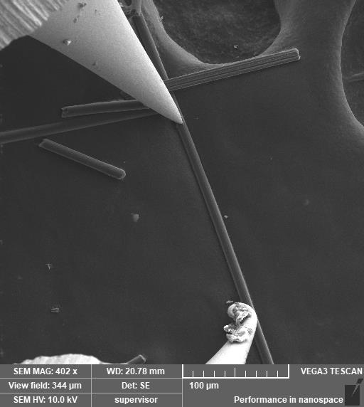 SEM納米探針臺(圖4) SEM納米探針臺應用——對一維材料的電學測量3.jpg